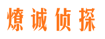 镜湖市婚姻调查